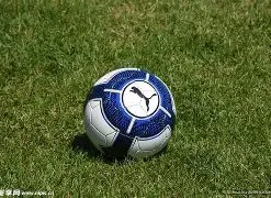 比赛中球员,如厕怎么办,莱曼揭晓妙,爱体育平台,爱体育官方网站,爱体育登录入口,爱体育app下载