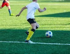 新芝加哥客,场积分榜,赛季再临巅,爱体育平台,爱体育官方网站,爱体育登录入口,爱体育app下载