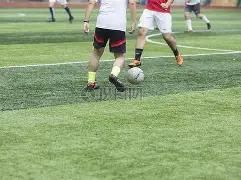 日星途,上市,预售价,爱体育平台,爱体育官方网站,爱体育登录入口,爱体育app下载