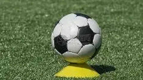 爱体育 资讯 085805 2yd